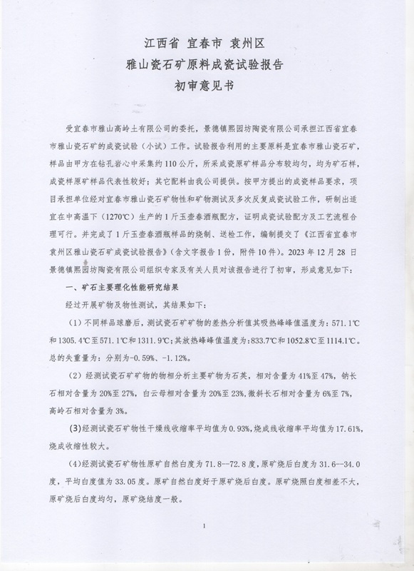 雅山瓷石礦初審意見(jiàn)書(shū)原件1